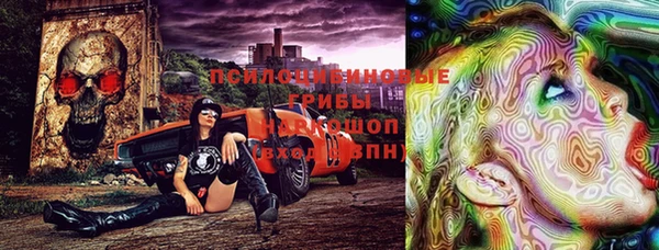 твердый Михайловск