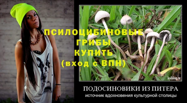 твердый Михайловск