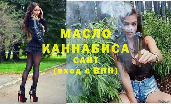 твердый Михайловск