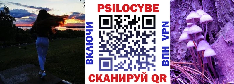 ссылка на мегу рабочий сайт где купить Лермонтов Псилоцибиновые грибы Magic Shrooms