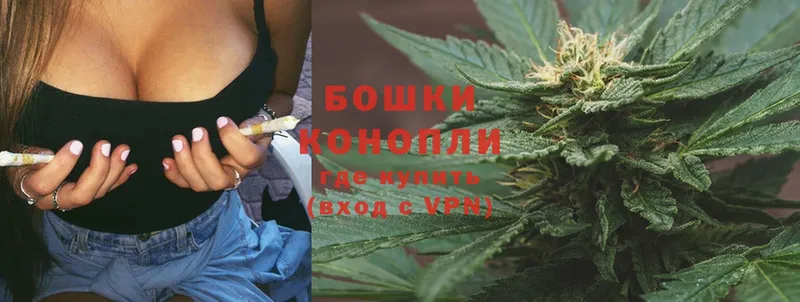 Канабис OG Kush  Лермонтов 